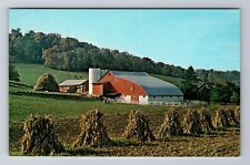Sugarcreek OH-Ohio, Rural Scene Of An Ohio Dairy Farm, Antique Vintage Postcard picture