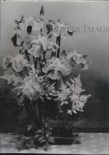 1960 Press Photo Beauty of flower Iris - spa67586 picture