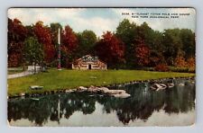 New York City-NY, Tlingit Totem Pole & House, Zoological Park, Vintage Postcard picture