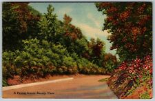 Pennsylvania's Roadside Flowers, Locust Trees, Rose & Berry Bush, PA - Postcard picture