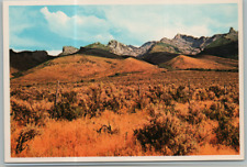Vintage Postcard Nevada Mountain Range And Ranch Land picture