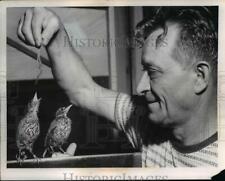 1954 Press Photo Dominick Forlizzi and His Two Adopted Birds in Harriburg PA picture