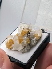 Fluorite with Calcite, Thumbnail Pint's Quarry, Black Hawk Co., Iowa UV Reactive picture