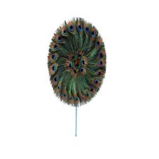 Peacock feather fan Multicolor, Peacock Feathers picture