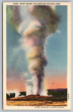 Giant Geyser Yellowstone National Park-Haynes Photo-Vintage Postcard c1959 picture