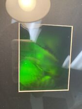 3D Hologram Picture (FRAMED) Collectible Polaroid Photopolymer Film Oyster Pearl picture