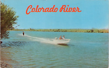 Postcard Water Skiing Colorado River Arizona California Border picture