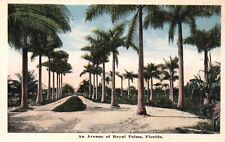 Postcard FL Florida An Avenue of Royal Palms White Border Vintage PC f2443 picture