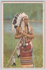 Postcard Montana Glacier National Park Medicine Man Owl Blackfoot Indian Vintage picture