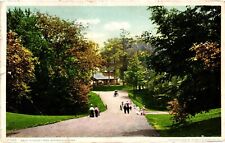 Vintage Postcard- 11785. Drive in Forest Park. Springfield MA. Posted 1909 picture