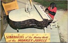 Vintage 1960s MONKEY JUNGLE Miami Florida Postcard Chimp Playing Piano / Unused picture