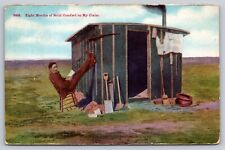 Antique 1909 Eight Months of Solid Comfort On My Claim Postcard. Montana. PC401 picture