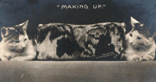 1906 Super Cute Making Up 2 Cats Looking at Each Other Kitty RPPC Rotograph Co picture