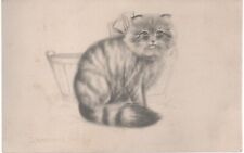 Postcard, Striped Angora Tabby, 1914 Vintage Unposted Cat picture