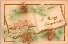 Vintage C. 1910 Soft Green  A Merry Christmas Book Pinecone Embossed Postcard picture