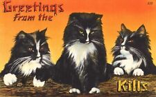 Greetings From The Catskills Pun Humor Cats Kills NY Resort Fun Vintage Postcard picture