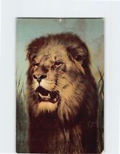 Postcard The Lion picture