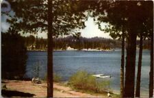 Lake Arrowhead California Resort Boating Swimming Winter Sports Vintage Postcard picture