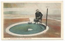 Handkerchief Pool In Yellowstone National Park, Wyoming, White Border Postcard picture