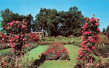 Postcard Rose Gardens - Mercedes Gallart Roses, Hershey, Pennsylvania, PA VTG picture