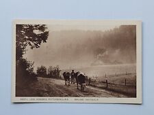 Cows Eating Vosges France Morning Mist Vintage Postcard Carte Postale Braun picture