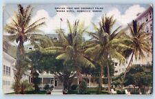 Honolulu Hawaii HI Postcard Banyan Tree Cocoanut Palms Moana Hotel Exterior 1910 picture