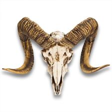 Bighorn Sheep Skull Replica | Weathered Polyresin | 16 1/8