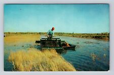 Eagle River WI-Wisconsin, Cranberry Products Cranberry Farming Vintage Postcard picture
