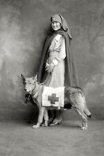 13x19 Poster Print 1910s Woman Dog Red Cross Holton Arms School Washington DC picture