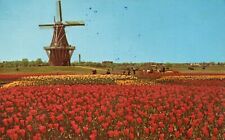 Postcard MI Holland Michigan De Zwaan The Swan Windmill Chrome Vintage PC J102 picture