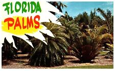 Florida Palms Tropical Tourist Vintage Posted Opa Locka 1963 Postcard Chrome picture