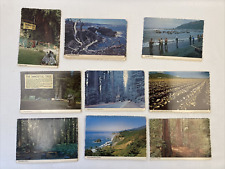 1970’s Vintage Post Card Lot Of 53 California Redwoods Chimney Tree, Suicide Row picture