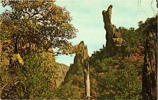 TX Postcard The Boot Rock Formation Big Bend National Park Brewster County Texas picture