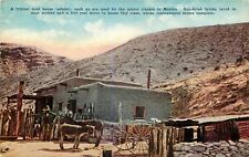 DB Mexico Postcard Da034 Adobe House Donkeys Wagon Man Baby Donkey Desert picture