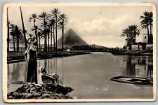 Cairo Egypt 1920s Postcard Flood Time Near The Pyramids picture