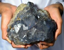 3246GM Outstanding Cave In Rock Natural Blue Huge Fluorite Crystals Specimen Pak picture
