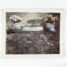 Joplin Missouri Grave Flowers Photo 1970s Osborne Memorial Cemetery Yard C1767 picture