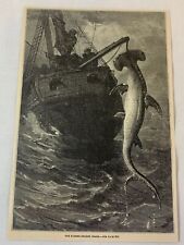 1877 magazine engraving~ HAMMERHEAD SHARK picture