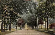 H81/ Berlin Heights Ohio Postcard c1910 South Street Homes 206 picture