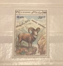 Afghanistan Stamp: Bighorn Mountain Sheep 1981 MNH picture