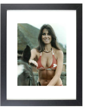 Actress Singer CAROLINE MUNRO in Bikini Swimsuit Framed & Matted Picture Photo picture