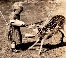 C 1926-1940s RPPC Postcard Toddler Feeding Deer Fawn Bonners Ferry Idaho Sepia picture
