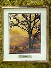 FREEDOM MICHAEL POWERS PHOTOGRAPHY HORSES AUTUMN LANDSCAPE NATURE PHOTO FRAMED picture