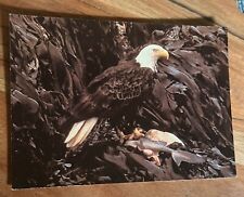 Bald Eagle RPPC By Halle Flygare Real Photo Vintage British Columbia Postcard picture