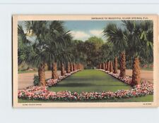Postcard Entrance to Beautiful Silver Springs Florida USA picture