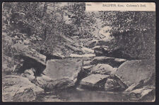 Kansas-KS-Baldwin City-Coleman's Dell-PCK-Antique Postcard picture