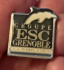 Vintage Pin Dolphin image GROUP E Grenoble from estate sale picture