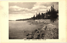 West Side Hancock Point Maine Shoreline Undivided Albertype Postcard 1910s-20s picture