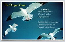 Oregon~Seagulls Along The Coast~”Gulls” Poem~Graceful Gliding Beauty~1987 PC picture