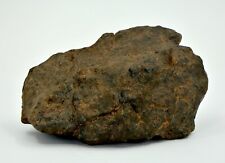 149g Winonaite Primitive Achondrite Meteorite - TOP METEORITE picture